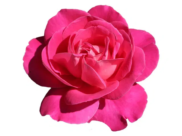 special offer image